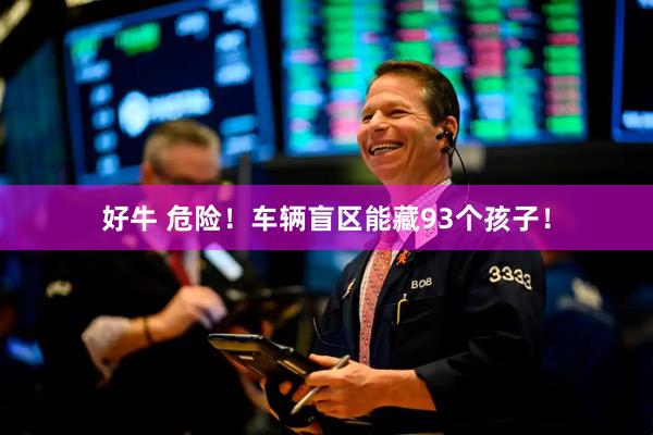 好牛 危险！车辆盲区能藏93个孩子！