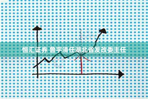 恒汇证券 鲁宇清任湖北省发改委主任