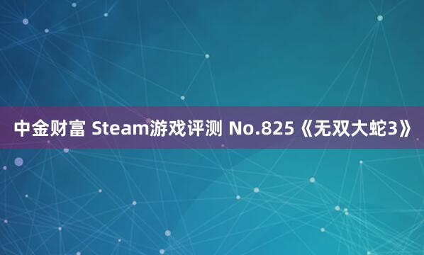 中金财富 Steam游戏评测 No.825《无双大蛇3》