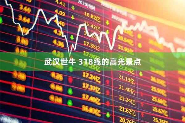 武汉世牛 318线的高光景点