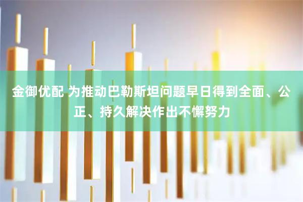 金御优配 为推动巴勒斯坦问题早日得到全面、公正、持久解决作出不懈努力