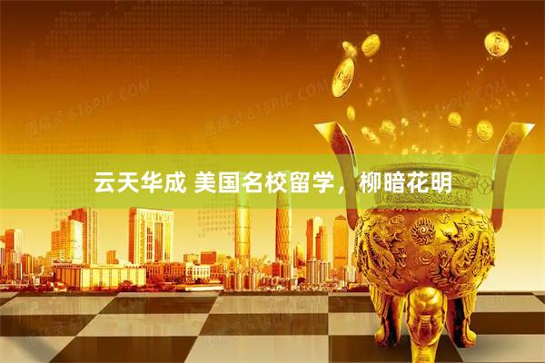 云天华成 美国名校留学,柳暗花明