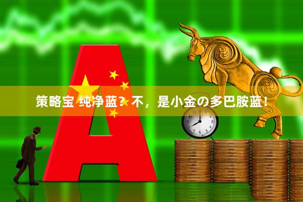策略宝 纯净蓝？不，是小金の多巴胺蓝！
